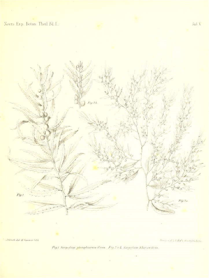 n126_w1150