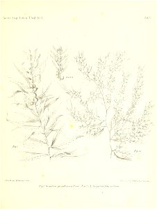 n126_w1150