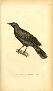 n566_w1150
