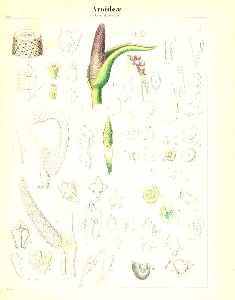 n182_w1150