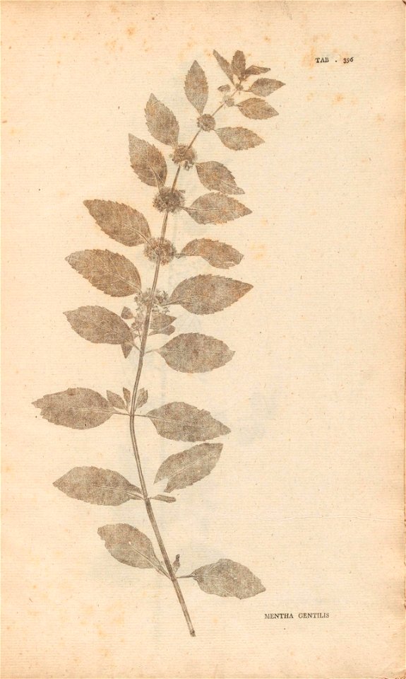 n412_w1150