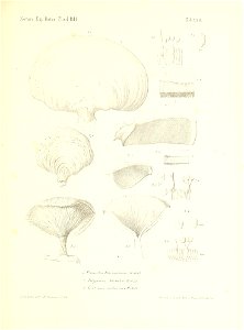 n252_w1150