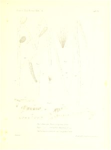 n124_w1150