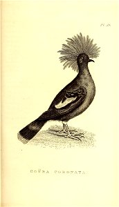 n370_w1150