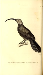 n223_w1150