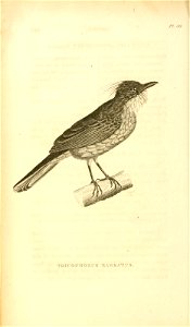 n539_w1150