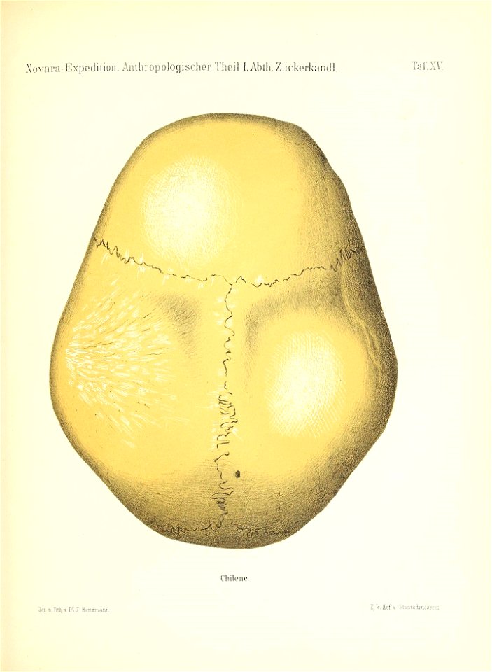 n170_w1150