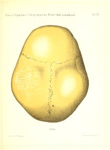 n170_w1150