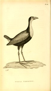 n329_w1150