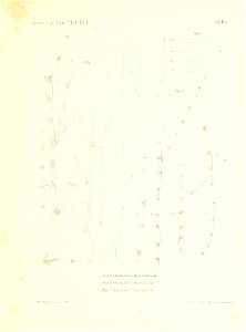 n122_w1150