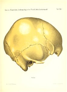 n168_w1150