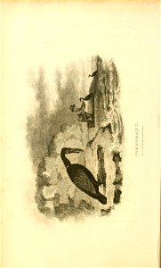n111_w1150