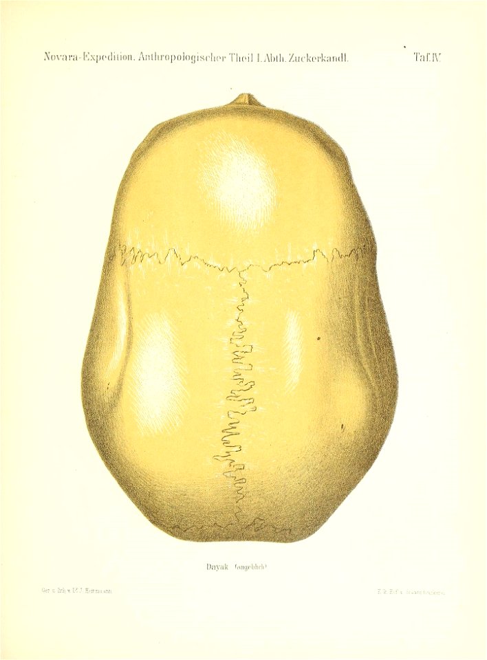 n148_w1150