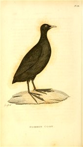 n305_w1150