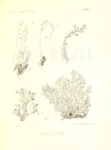 n180_w1150