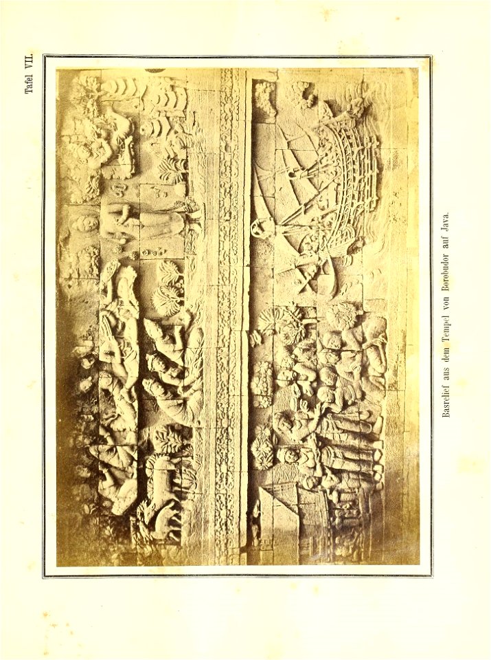 n768_w1150