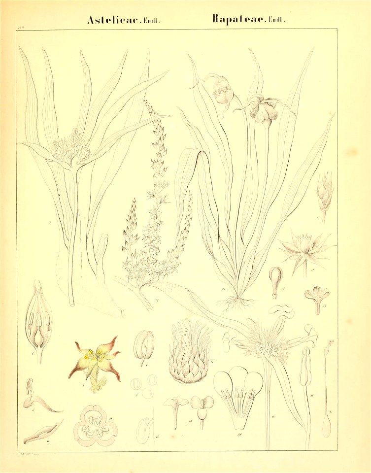 n110_w1150