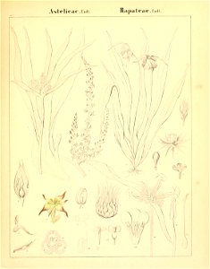 n110_w1150