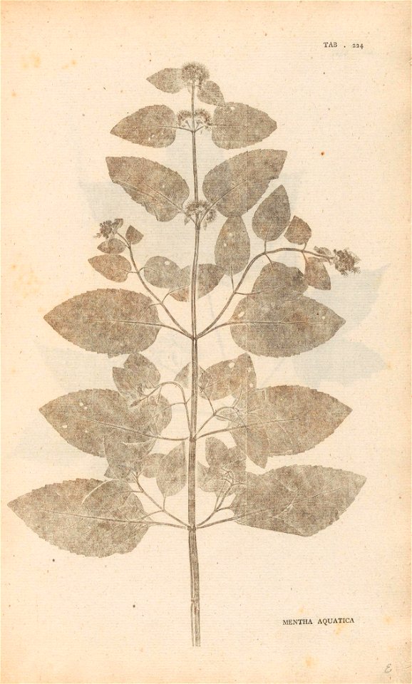 n58_w1150