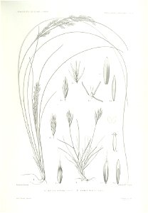 n38_w1150