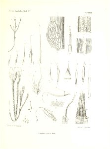 n264_w1150