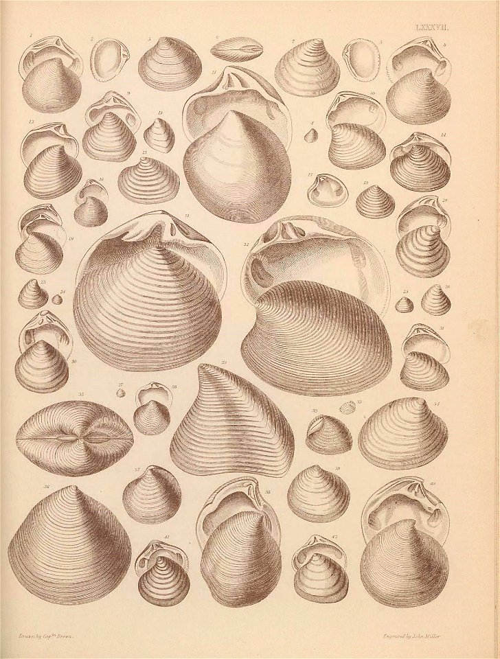 n422_w1150