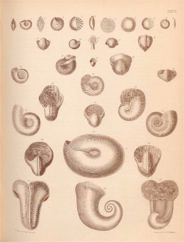 n122_w1150