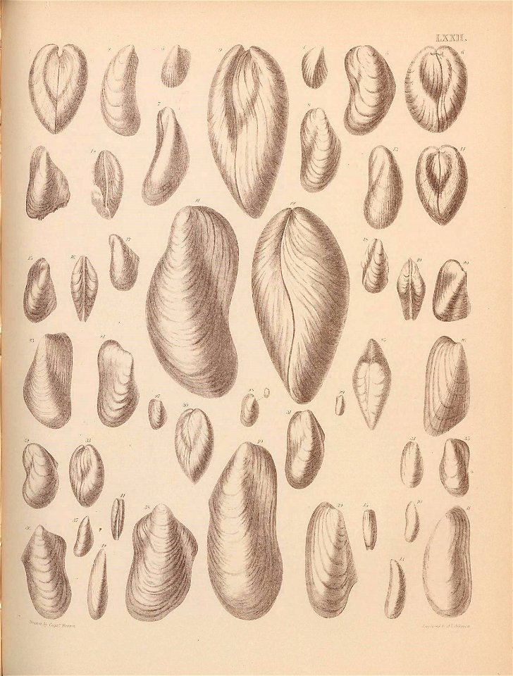 n358_w1150