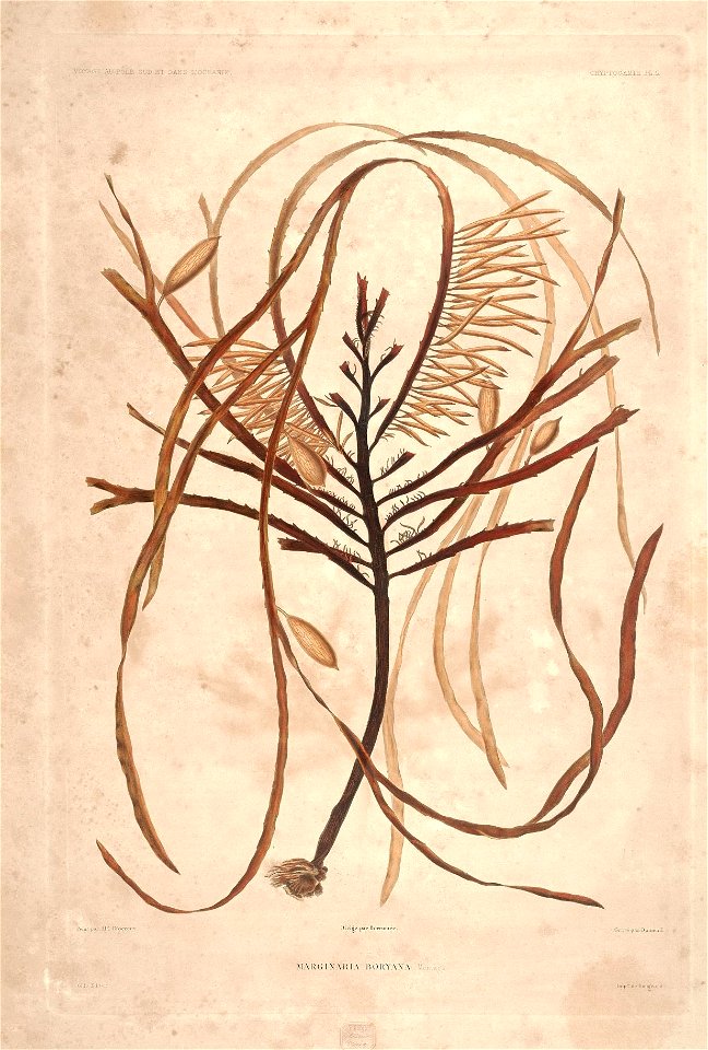 n6_w1150