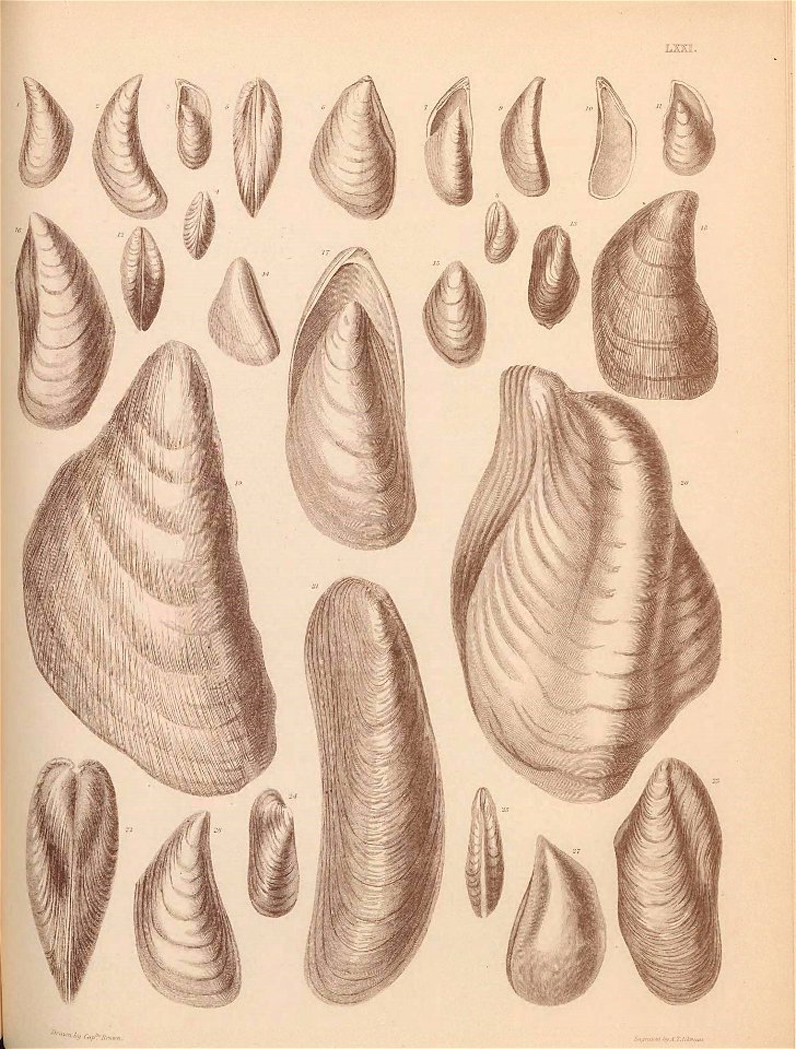n354_w1150