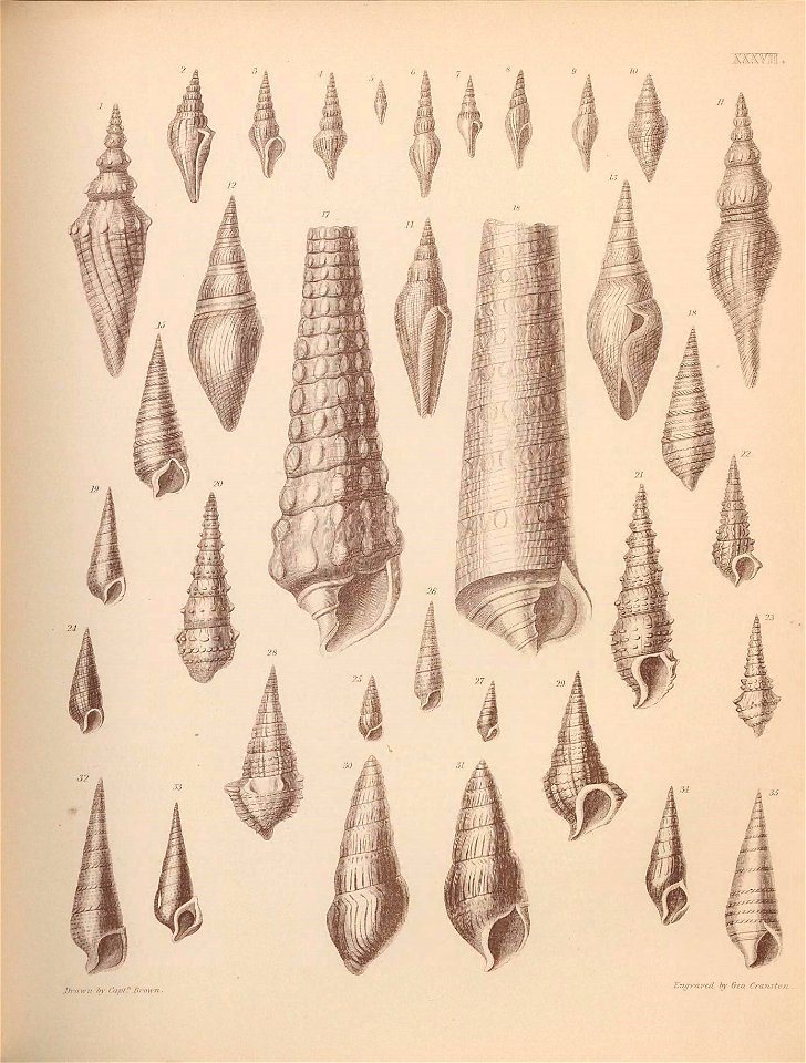 n174_w1150