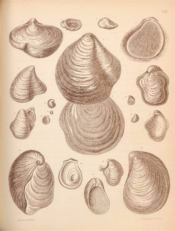 n294_w1150