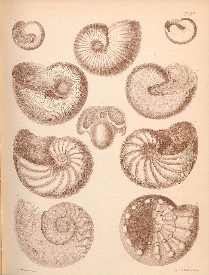 n114_w1150