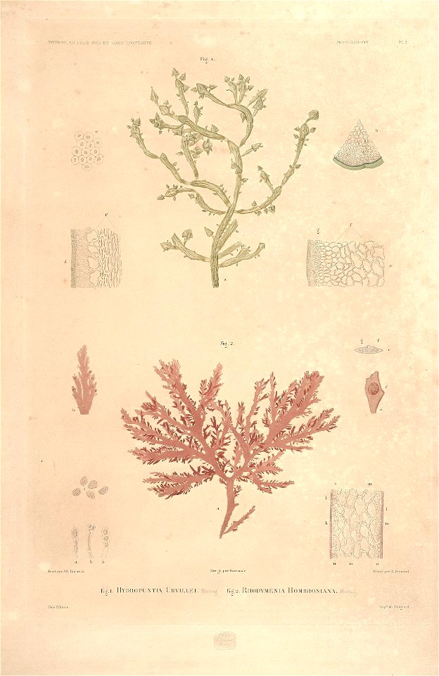n5_w1150