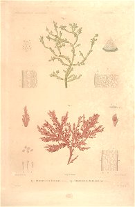 n5_w1150