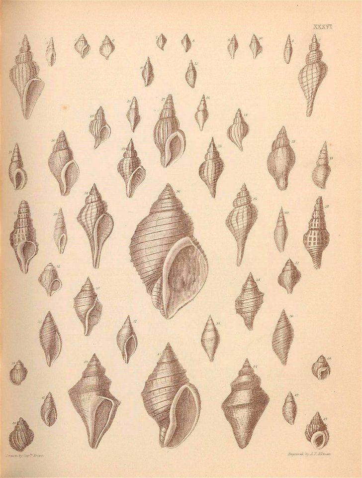 n170_w1150
