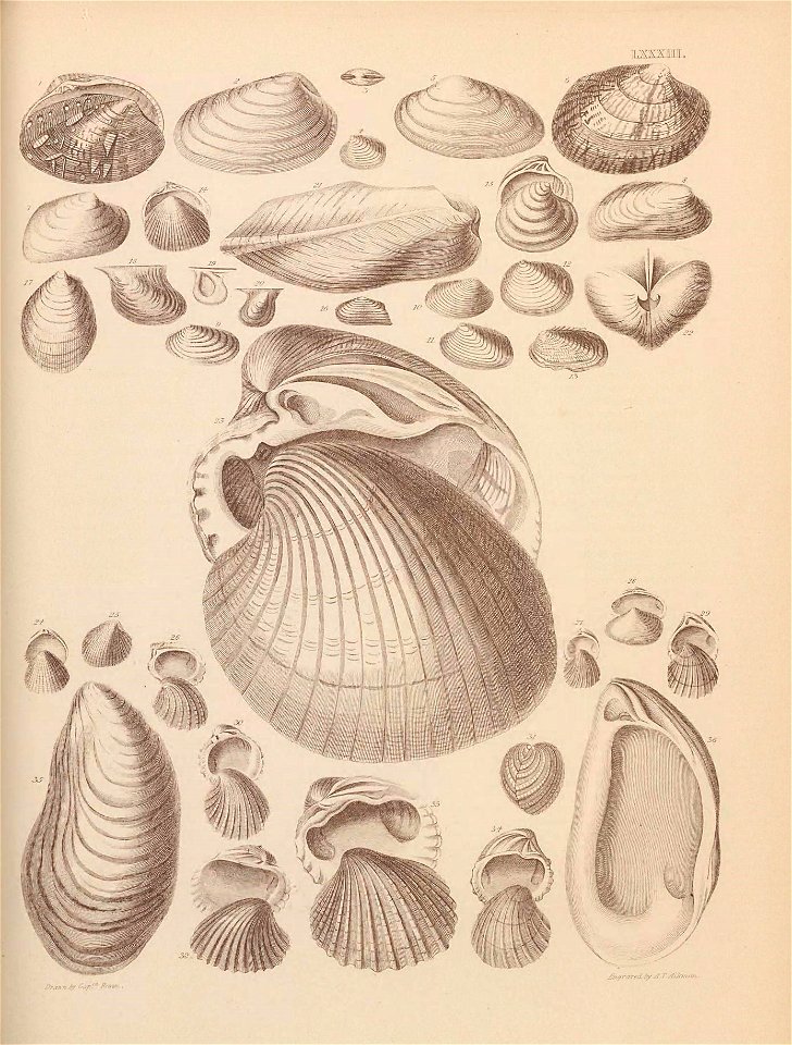 n406_w1150