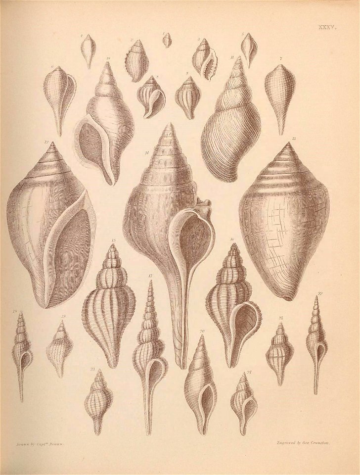 n166_w1150