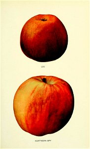 n394_w1150