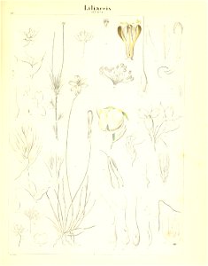 n128_w1150