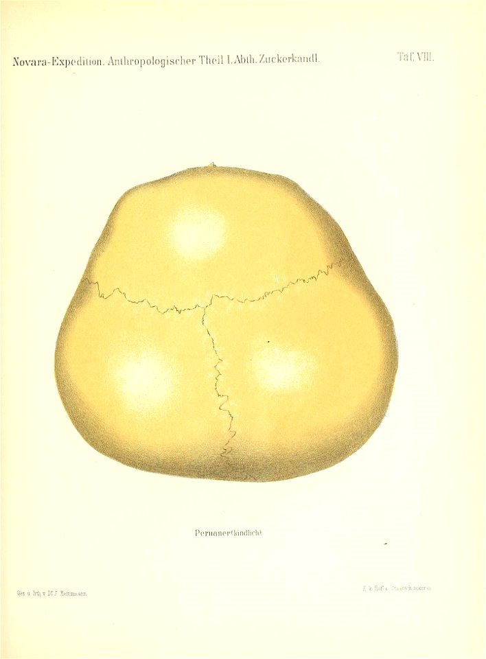 n156_w1150