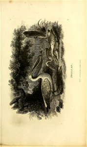 n152_w1150