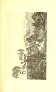 n206_w1150