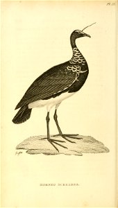 n361_w1150