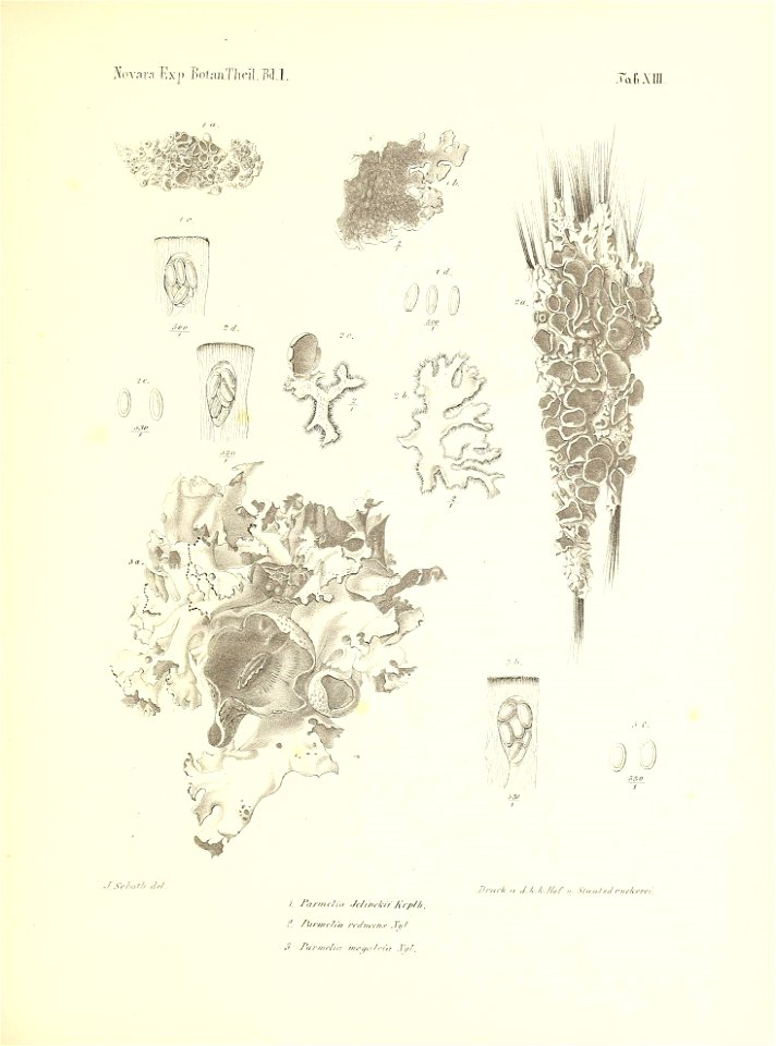 n168_w1150
