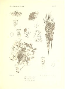n168_w1150