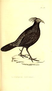 n380_w1150