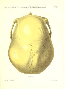 n174_w1150