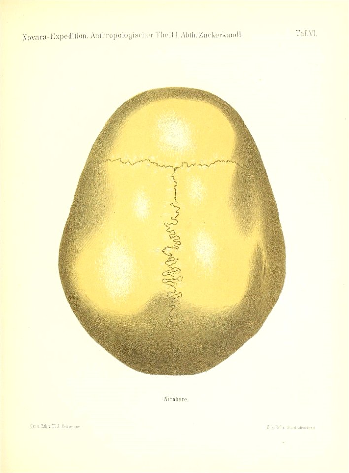 n152_w1150