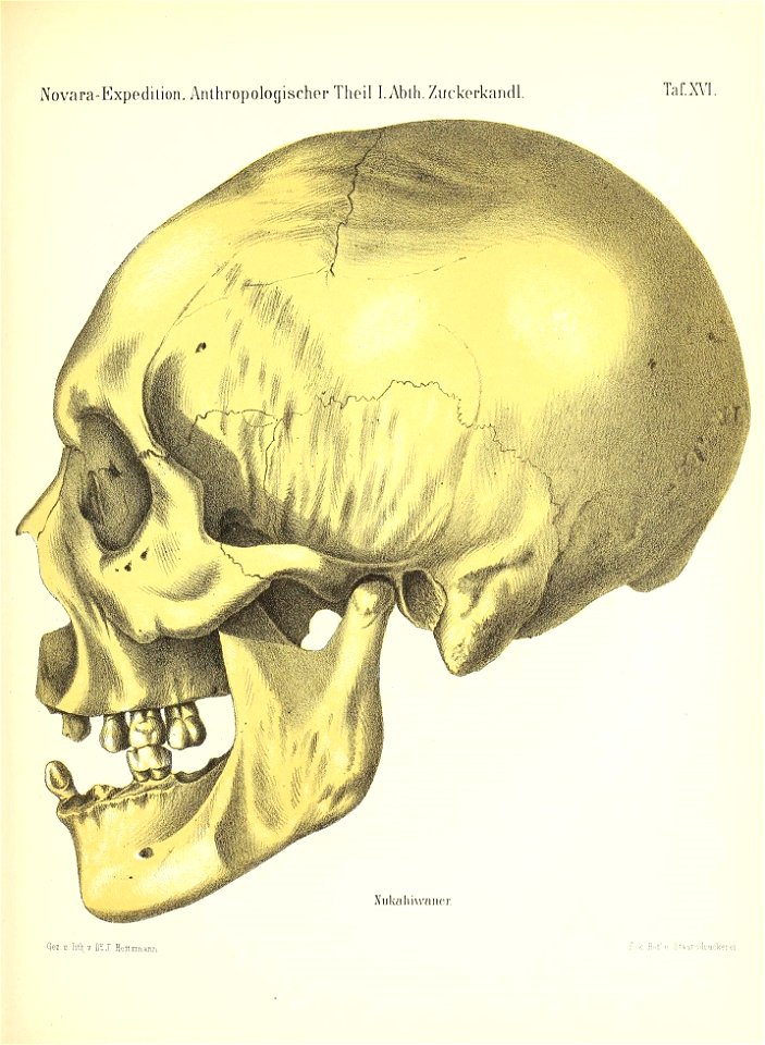 n172_w1150